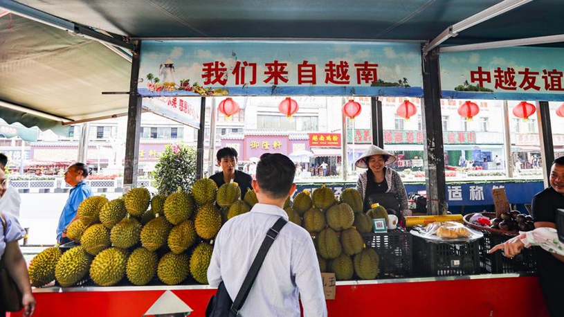 杨晨的成功